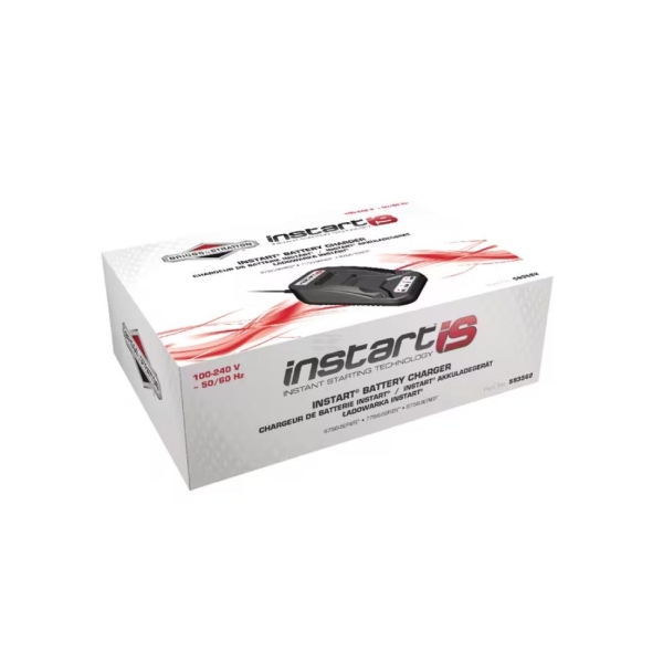 593562 Batterilader EU Briggs & Stratton - Bilde 2