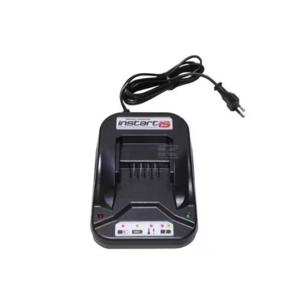 593562 Batterilader EU Briggs & Stratton