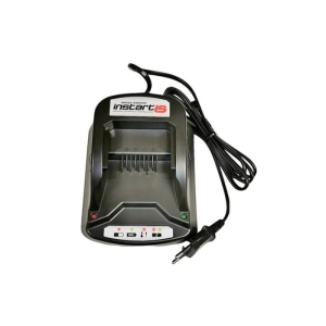 Batterilader Briggs & Stratton 593562 EU