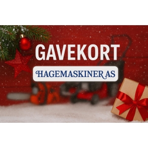 Gavekort verdi 250 kr