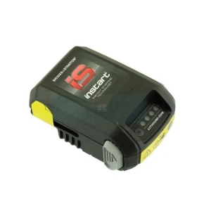 597189 Batteri Briggs & Stratton